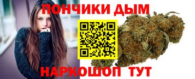 гидра Можга