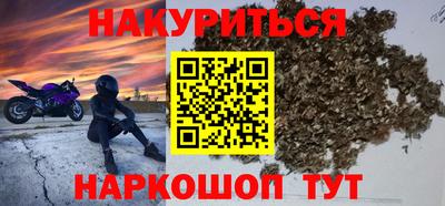 гидра Можга