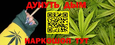 apvp Нальчик