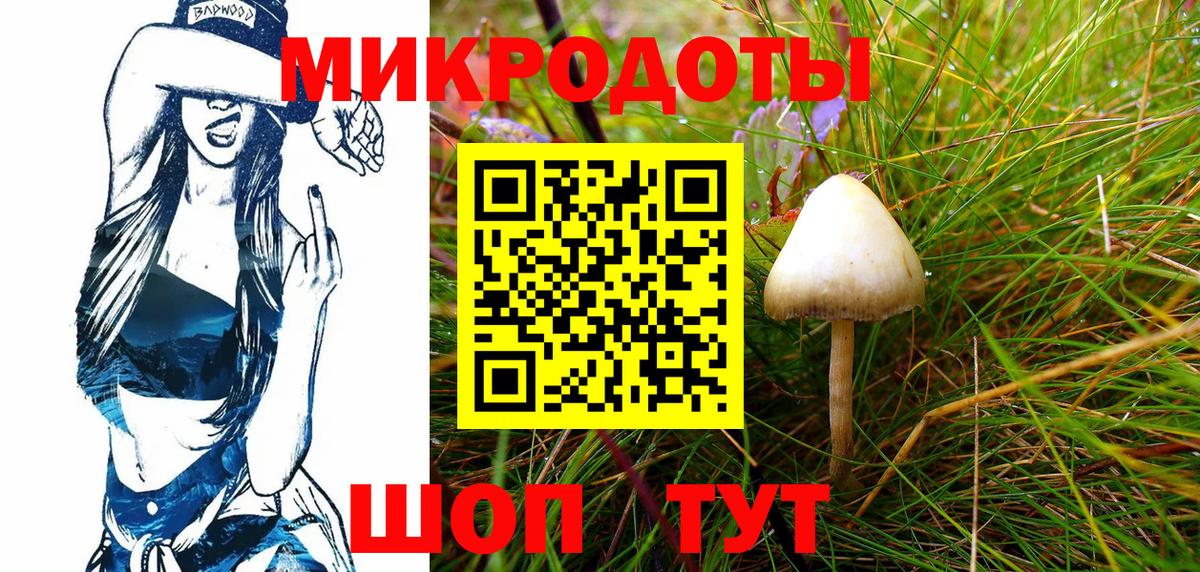 Галлюциногенные грибы Psilocybe  Вход с VPN  Тара 